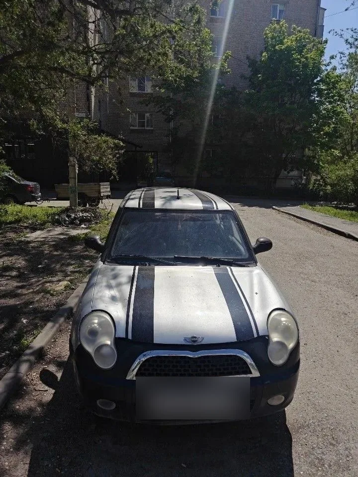 MINI с полосами на капоте — пример выкупленного авто